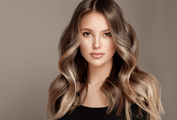 Long Brown Hair Long Blond/Brown Hair